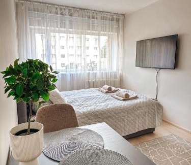 Parnu Apartment | Laine Studio Apartment