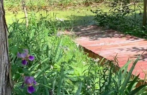 Columbia City Cottage | Lake Access Cottage, fenced, private, pet friendly, sleeps 6 with sleeper sofa