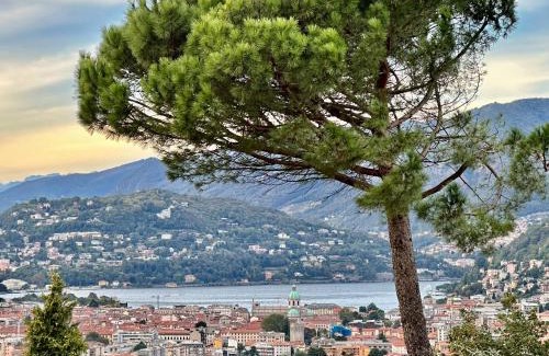 Albate Apartment | Lake Como view Apartment