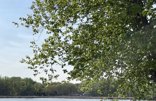 White Bear Lake House | Lake Front- dock access, kayaks, deck and grill available to use. near downtown