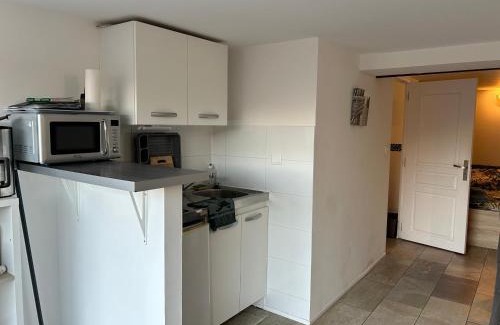 Saint-Pee-sur-Nivelle Apartment | Lake House St Pee Sur Nivelle