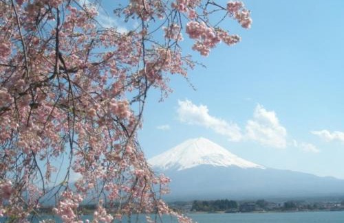 Oishi House | Lake Kawaguchi Rental Villa Tozawa Center - Vacation STAY 46833v