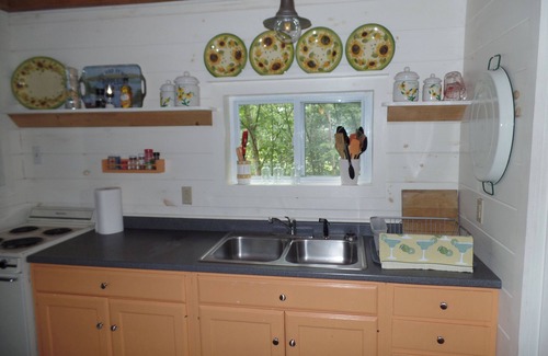Richmond Cabin | Lake Living for 6 at Spring Cove off I295