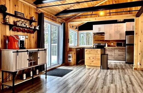 Blue Sea Ski Chalet | Lake, Outdoor Fun & Comfort | Chalet Edja Natür