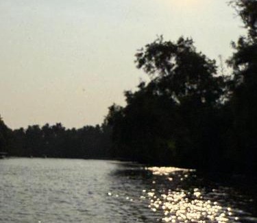 Poovar Apartment | Lake Park
