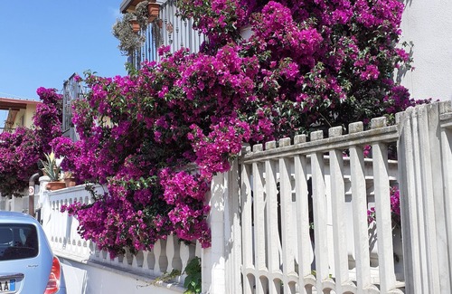 Cagnano Varano House | lake-sea apartment