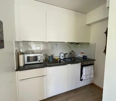 La Tour-de-Peilz Apartment | Lake side(5min)/fire place/garden/freeparking/45m2