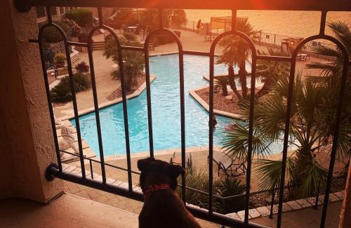 Highland Lake Estates Apartment | Lake Travis Stunning Waterfront, Sunset & Pool Views, Pet Friendly, Boat Ramp, Lago Vista, Texas