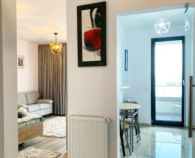 Cluj County Apartment | LAKE VIBE