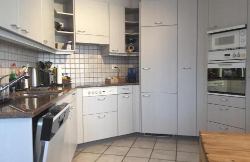 Faulensee Apartment | Lake View Apartment