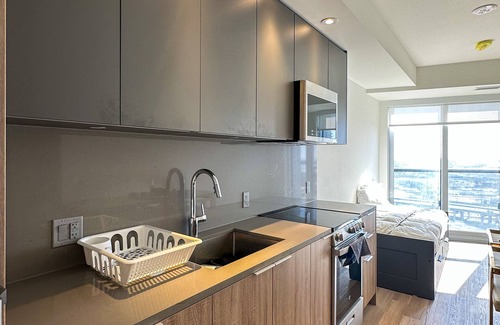 West Don Lands Apartment | Lake View New Elegant & Spacious Condo at Distillery District, Gym, Pool, Cowork