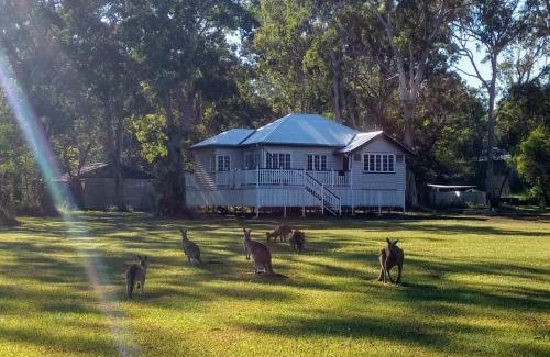 Peregian Beach Cabin | Lake Weyba Noosa Lodge & Kangaroos