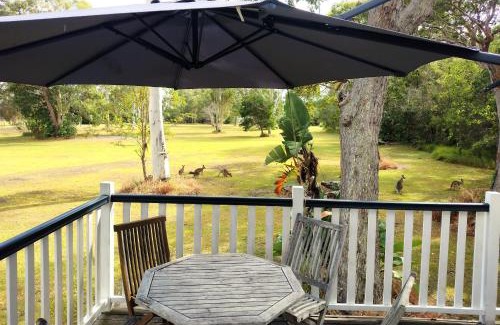 Peregian Beach Cabin | Lake Weyba Noosa Lodge & Kangaroos
