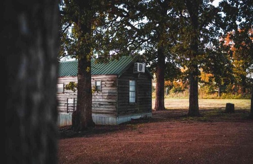 Mead House | Lakefront Cedar Cabin - 9