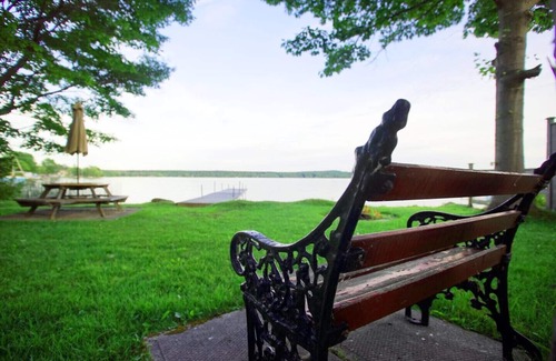 Springwater Cottage | Lakefront Cedar Haven- Free use Canoe and Kayak, 1 hr from Toronto, All Seasons