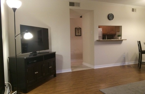 Bucktown Apartment | Lakefront Comfort #2