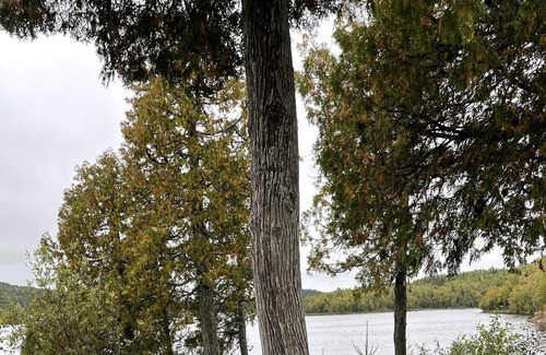 Schreiber House | Lakefront cottage getaway. Fully furnished 3-bedroom log cabin.