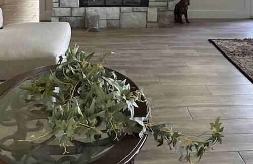 Eufaula House | Lakefront Family Retreat