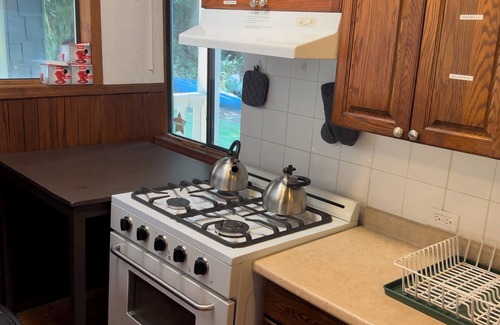 Fraser Valley Regional District Cabin | Lakefront Lodge and 3 Rustic Cabins - Sleeps 36 - Boat Access - Hot Showers+WIFI