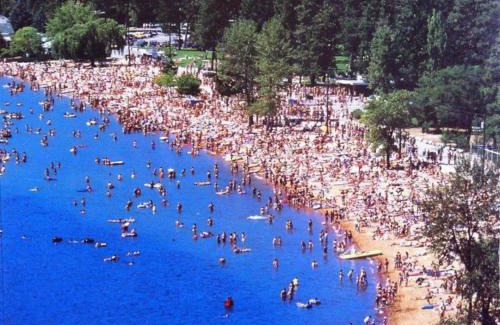 Okanagan-Similkameen Apartment | Lakefront Nest Beach House Suite