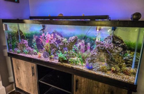 Upatoi House | Lakefront Retreat with Pool, Game Room & Private Pier