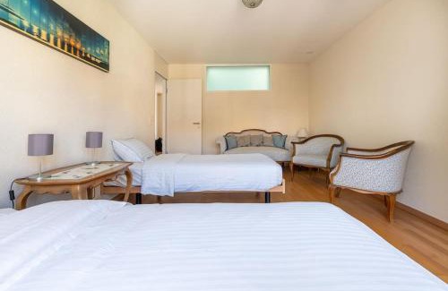 Vevey Apartment | Lakeside-Apartment-1 Grand appartement familial avec 2 terrasses et vue panoramique