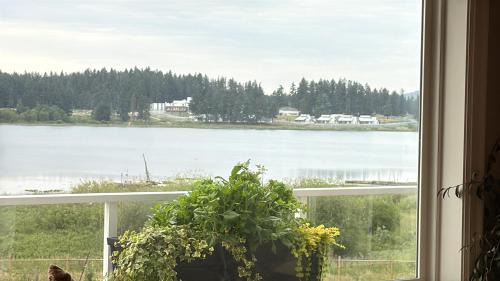 Regional District of Nanaimo Apartment | Lakeside Cottage