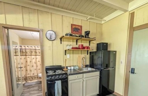 Hill City Apartment | Lakeside Studio with Fireplace & Beautiful View!