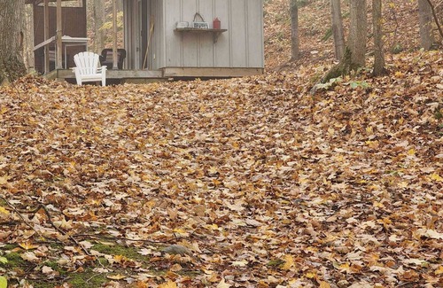 Frontenac Cottage | Lakeside Tiny Cottage in the woods
