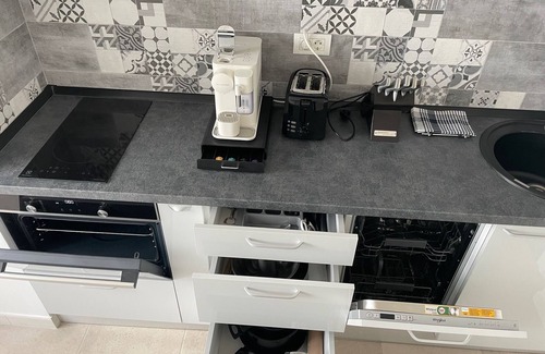 Militari Apartment | Lakeview 2 Room Penthouse Rooftop W15