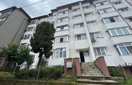 Calimanesti Apartment | Lala's sweet nest