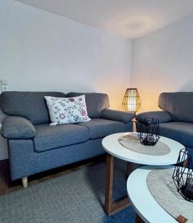 Sorpetal Apartment | Landferienwohnung Simon