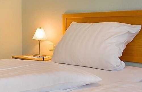 Seelbach Hotel | Landgasthof Ochsen Seelbach