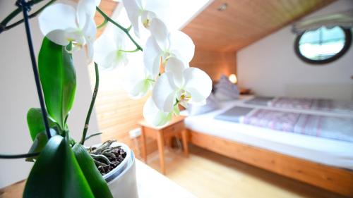 Mauthen Apartment | Landhaus Zoppoth