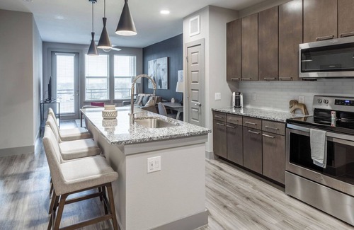 Montopolis Apartment | Landing | Beautiful 1BD, Gym, Game Room