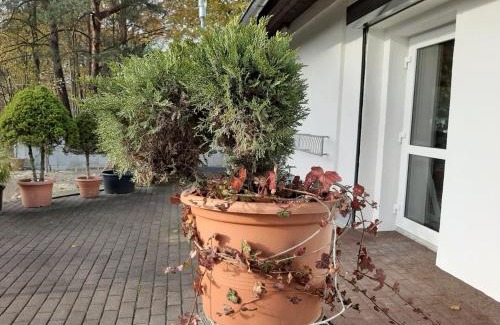 Hoyerswerda House | Landlust!