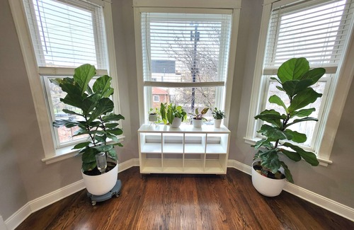 Logan Square Apartment | Large 3 bdrm/dining in the heart of Logan Square mins to DOWNTOWN