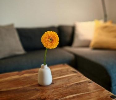 Velden am Worther See Apartment | Large apartment with terrace