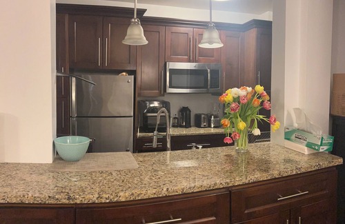Chelsea Apartment | Large Beautiful Private-Bedroom in 2BD Apt in Hudson Yards New York