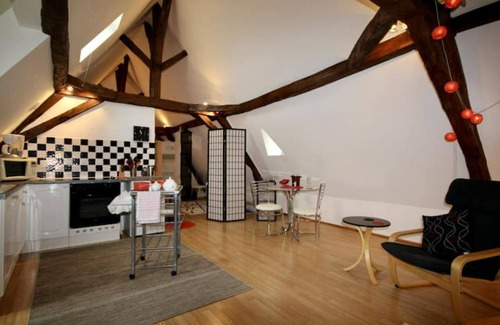 Bourniquel Apartment | Large charming studio - La Gentilhommière