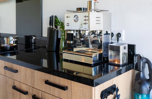 Goengahuizen House | Large country house on private island in the middle of Friesland