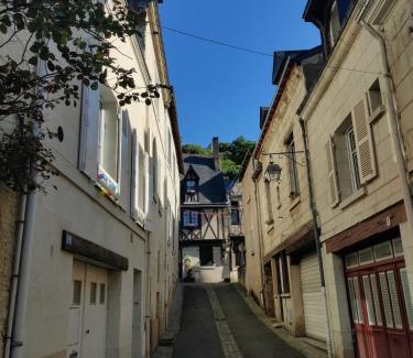 Chinon Apartment | Large new studio, charming and quiet, historical center