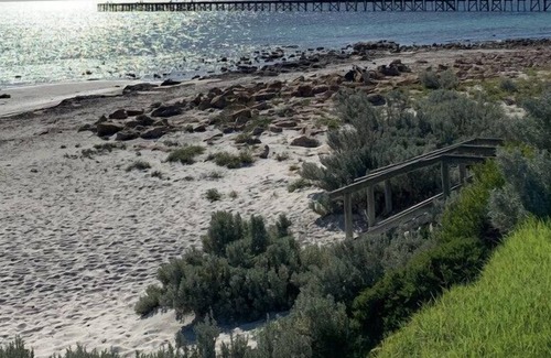 District Council of the Copper Coast House | Large open plan living, large bedrooms within walking distance to the beach.
