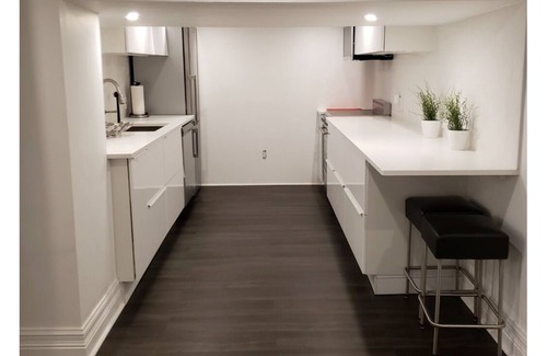 South Hill Apartment | Large renovated, furnished 1 BR basement apartment