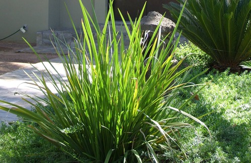 Blenman-Elm House | Large Studio Guesthouse in Central Tucson Historic Neighborhood