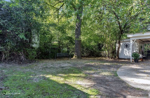 Caddo Heights-South Highlands Apartment | Large windows overlooking streets of historic South Highlands makes this cozy!