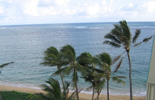 Punaluu Condo | Largest Private Patio on the Ocean and Air-Conditioning