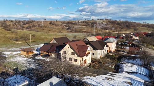 Partestii de Sus Villa | Larisa