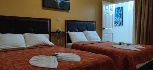 Paraiso Hotel | LAS OLAS