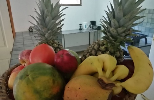 Coco House | Las Quintas Casas para Vacacionar